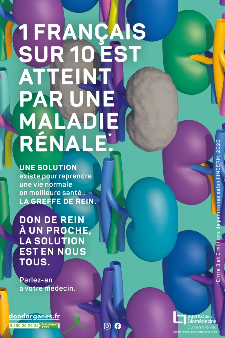 1 français sur 10 est atteint par une maladie rénale.