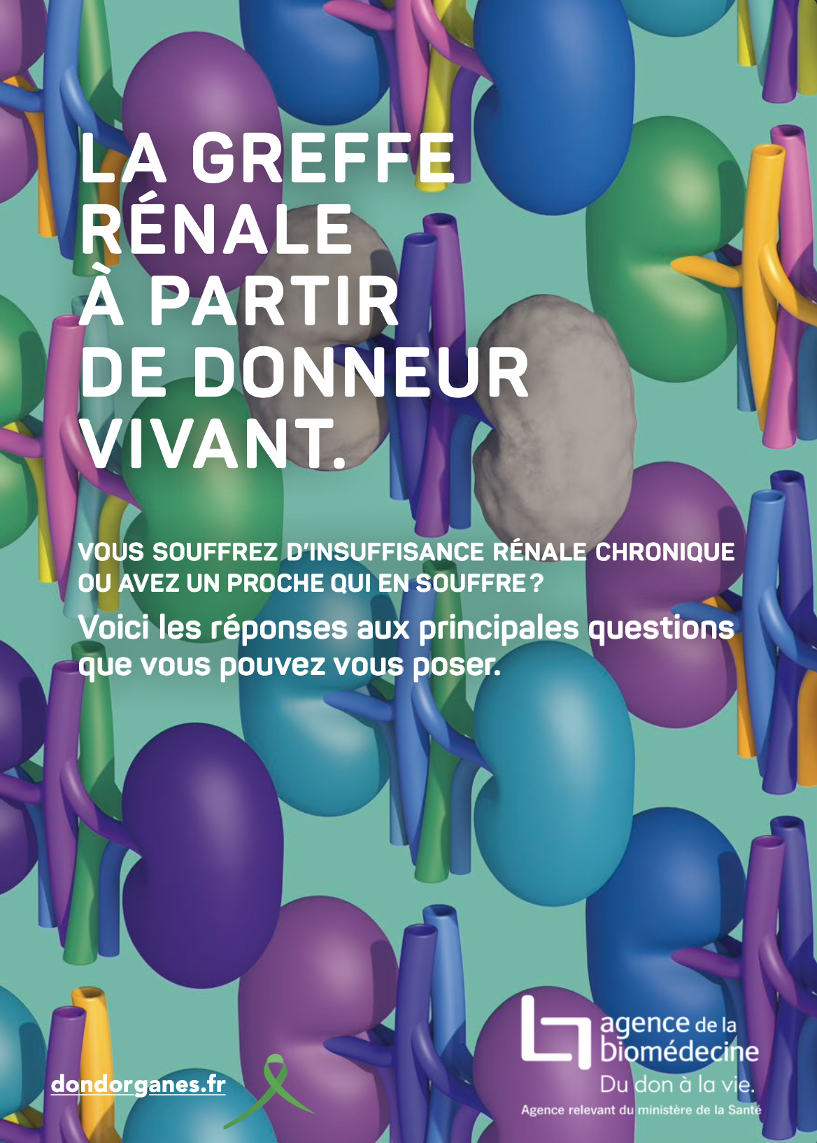 Brochure grand public – Don de rein à un proche.